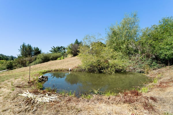7337 Glen Haven Rd, Soquel, CA