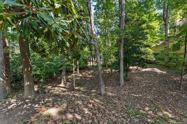 1606 E Nancy Creek Drive, Brookhaven, GA