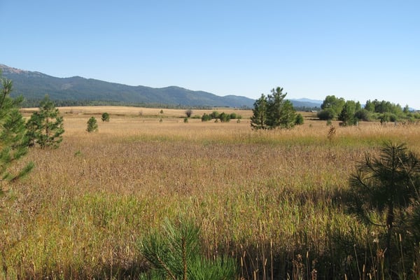 1217 Elo Road, McCall, ID