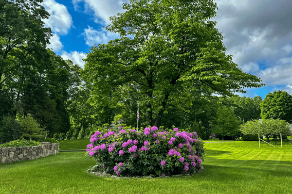 Pastures Lane, New Canaan, CT