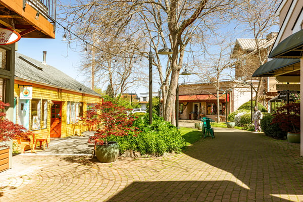 221 2nd St, 8, Langley, WA