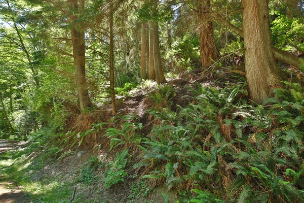 XXXX George Dr, Clinton, WA