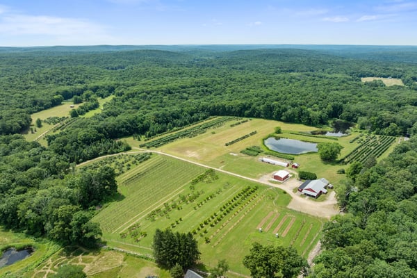 CROOKES ORCHARD - A 153-ACRE LEGACY FARM OF SPECTACULAR BEAUTY & OPPORTUNITY