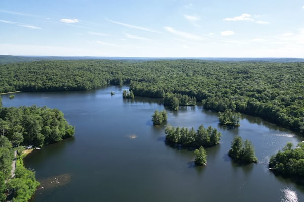 159 ACRES WITH EXPANSIVE HALLS POND FRONTAGE - 3 PARCELS, FULLY RENOVATED 2-FAMILY DWELLING, & ENDLESS POSSIBILITIES