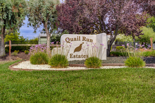 339 Patridge Ave, Paso Robles, CA