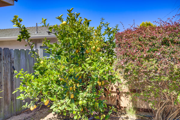 444 Walnut St, Arroyo Grande, CA