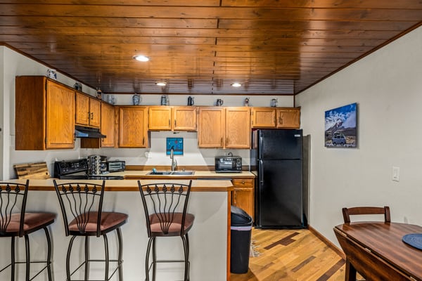 2885 Chinook Lane, A14, Steamboat Springs, CO