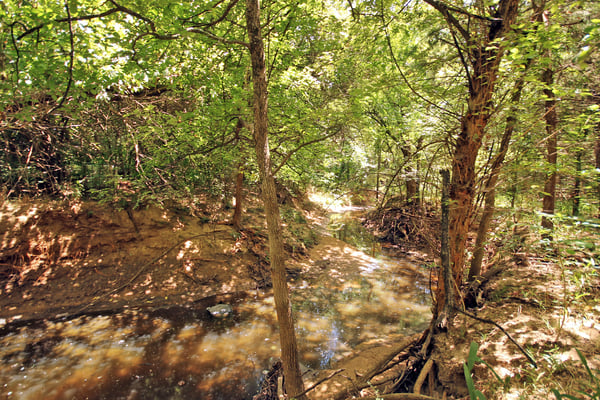 CREEK...Located Towards Back Of Property