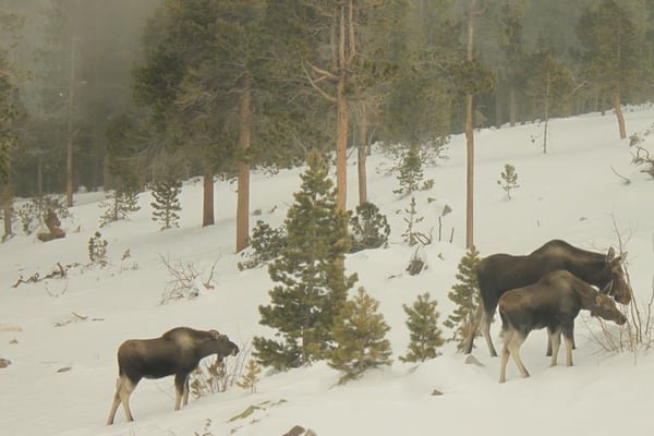 200 Kimwood Rd, Black Hawk, CO