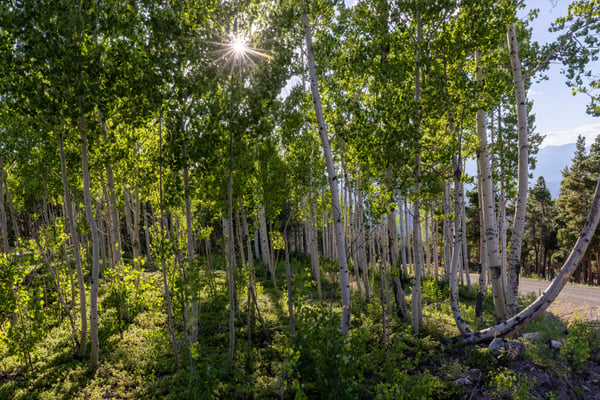 200 Kimwood Rd, Black Hawk, CO