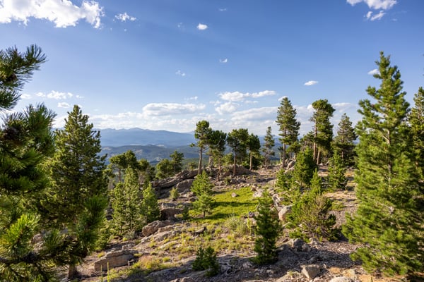 200 Kimwood Rd, Black Hawk, CO