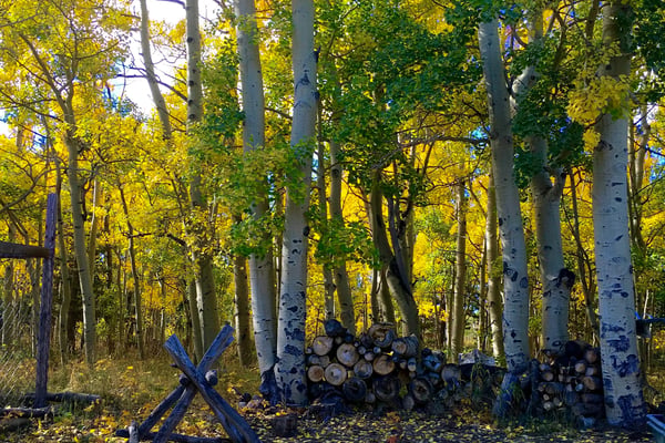 1456 Highpoint Cir, Black Hawk, CO