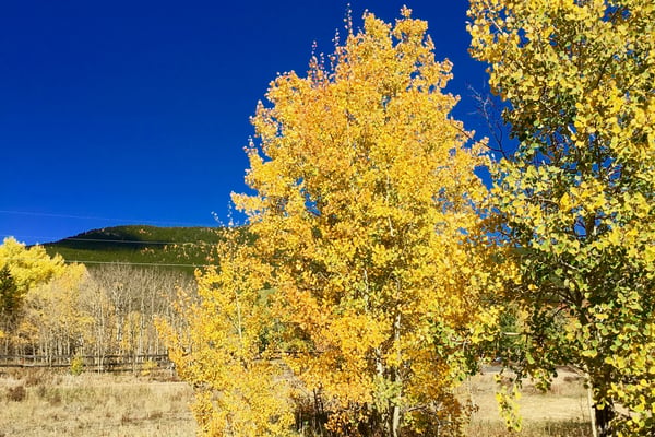 1456 Highpoint Cir, Black Hawk, CO
