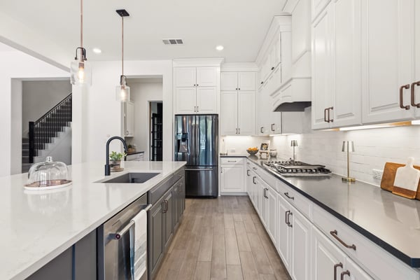 1078 Gato Del Sol Ave, Austin, TX