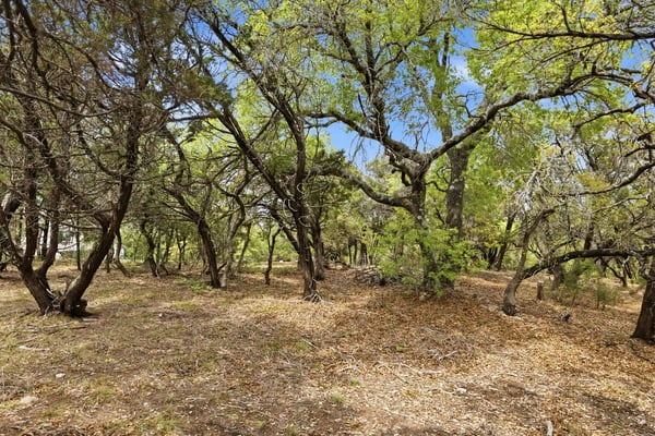 1078 Gato Del Sol Ave, Austin, TX