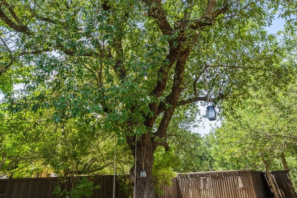 8912 Geranium Cove, Austin, TX