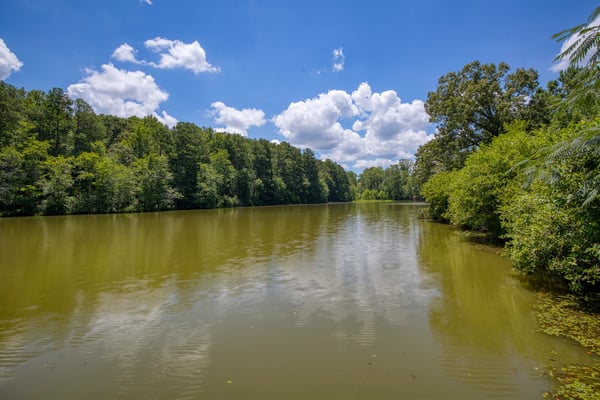 4120 Talavera Drive, Cumming, GA
