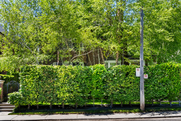 236 Poplar Plains Road, Toronto, ON
