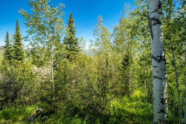 921 Faraway Road, Snowmass Village, CO