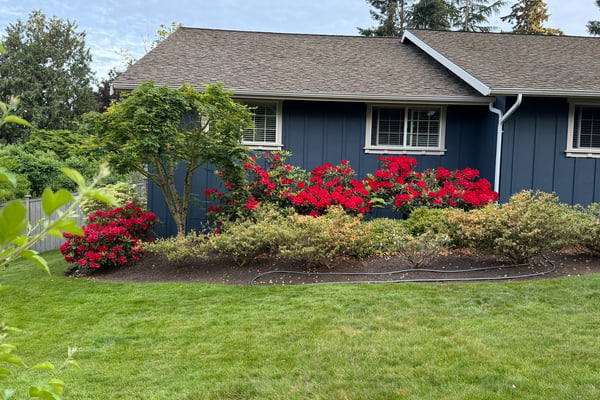 A Rare Kenmore Rambler Retreat on Nearly Half an Acre
