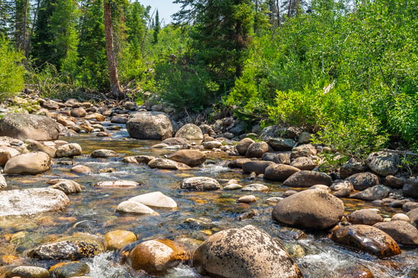32065 Pebble Run, Steamboat Springs, CO
