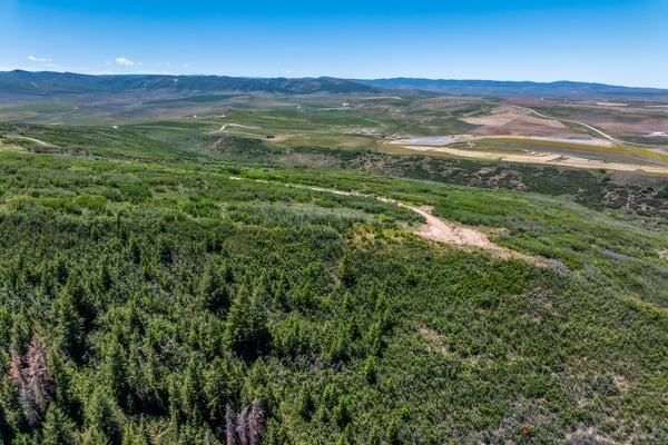 Grassy Creek, Steamboat Springs, CO