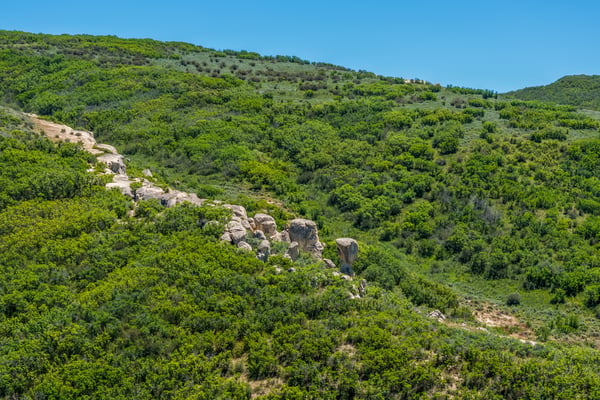 Grassy Creek, Steamboat Springs, CO