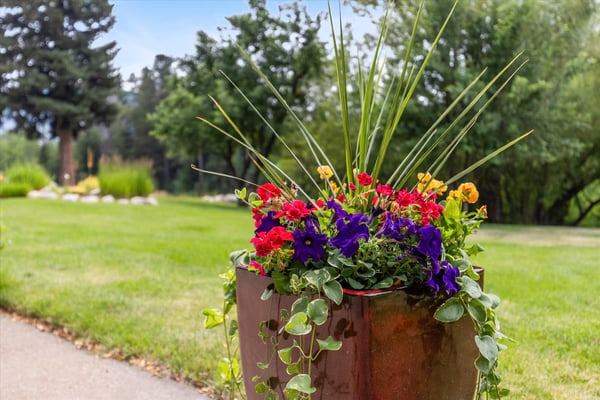 1184 Anglers Drive, Steamboat Springs, CO