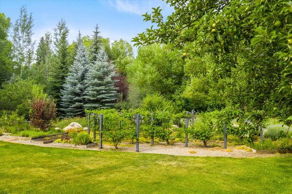 1184 Anglers Drive, Steamboat Springs, CO