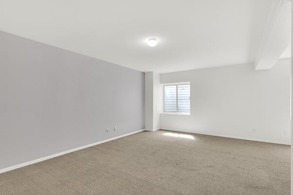 Finished Basement Great Room