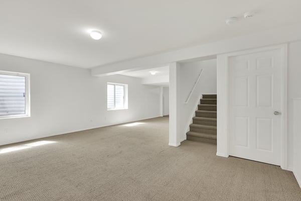 Finished Basement Great Room