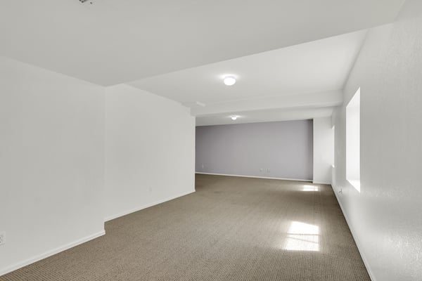 Finished Basement Great Room