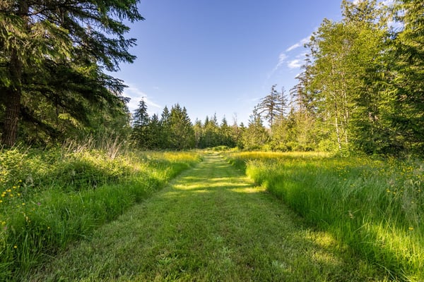 154 Lindsay Rd, Camano Island, WA