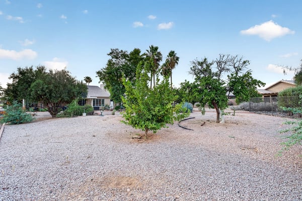 Featuring mature trees, gravel landscaping, and expansive open areas, this backyard provides a peaceful outdoor retreat with plenty of room to enjoy the Arizona climate.