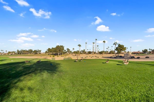 Expansive green fairways, mature trees, and open recreational spaces provide beautiful views throughout the community. Enjoy the peaceful atmosphere and exceptional outdoor amenities.