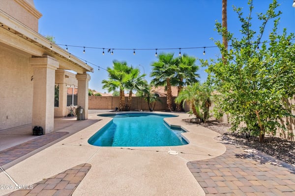 Enjoy outdoor living with a sparkling swimming pool, paver patio, mature palm trees, and covered patio. A wonderful setting for relaxing or entertaining in Chandler.