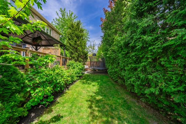 109 Dell Park Ave, North York, ON