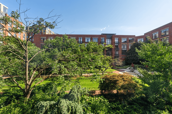 520 John Carlyle Street, 107, Alexandria, VA