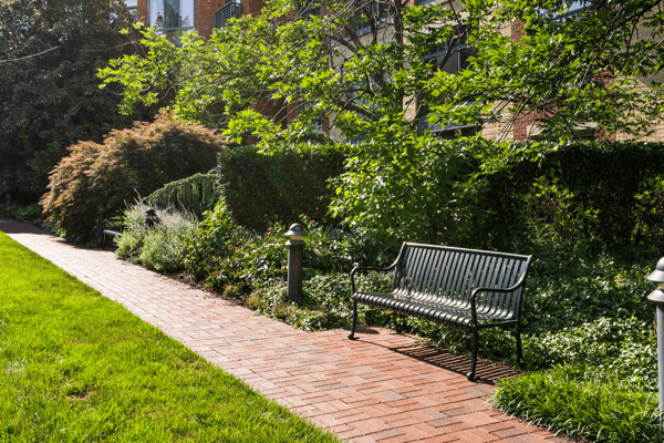 520 John Carlyle Street, 107, Alexandria, VA