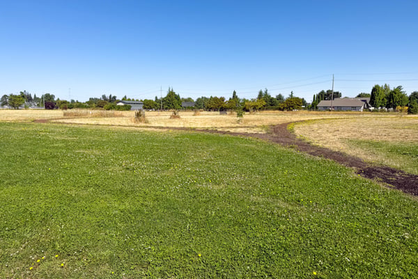 Various paths throughout.