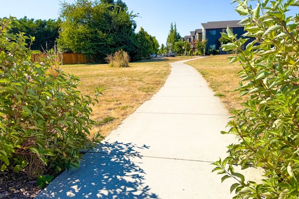 Easy paved paths. Looking towards Lord Byron Place.