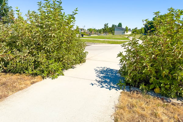 Looking towards the park.