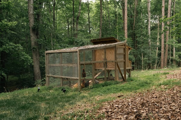 1800 Chestnut Lane, Matthews, NC