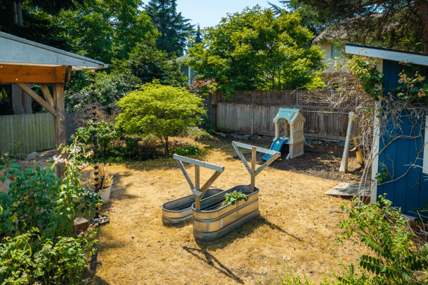 7025 25TH Ave. NE, Seattle, WA