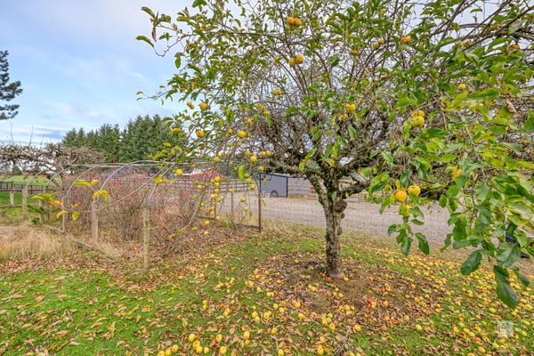 37902 SE Porter Road, Estacada, OR