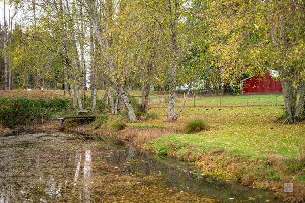 37902 SE Porter Road, Estacada, OR