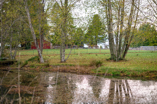 37902 SE Porter Road, Estacada, OR