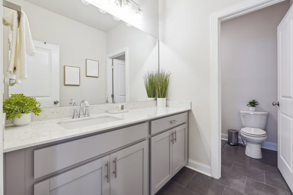 1150 Pennington View Lane, Alpharetta, GA