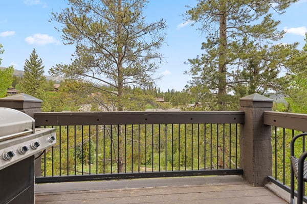 48 Bluff Court, Breckenridge, CO