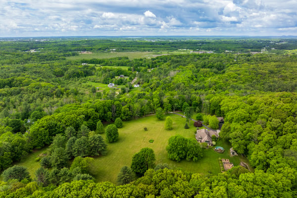 Spacious wooded lot surrounded by lush greenery, offering ample space for privacy and outdoor activities.